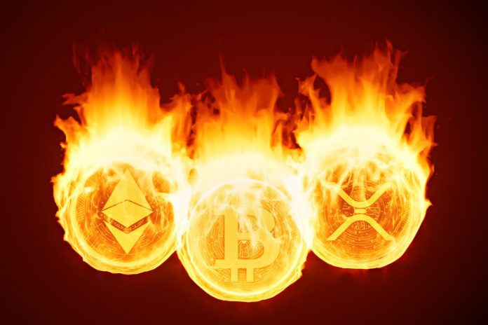 New Record in Burning Meme Coin: Burn Rate Increased by 5000%!