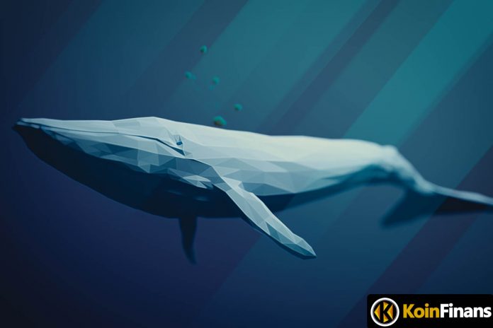 The Explosive Altcoin of Recent Times Has Been Flooded By Whales!
