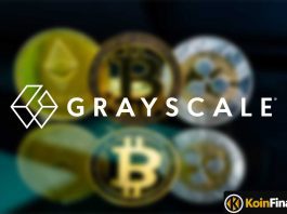 Alımlar Arttı: Grayscale Bu Altcoin'deki Tahsisini Arttırdı!