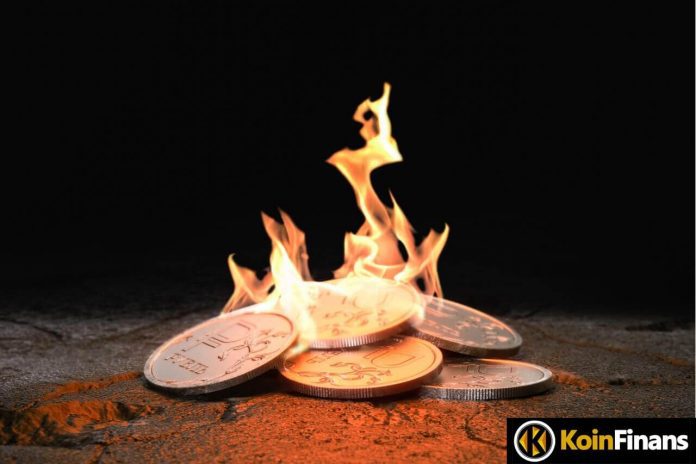 Massive Burns: Giant Investor First Bought These 2 Altcoins, Then Burned It!