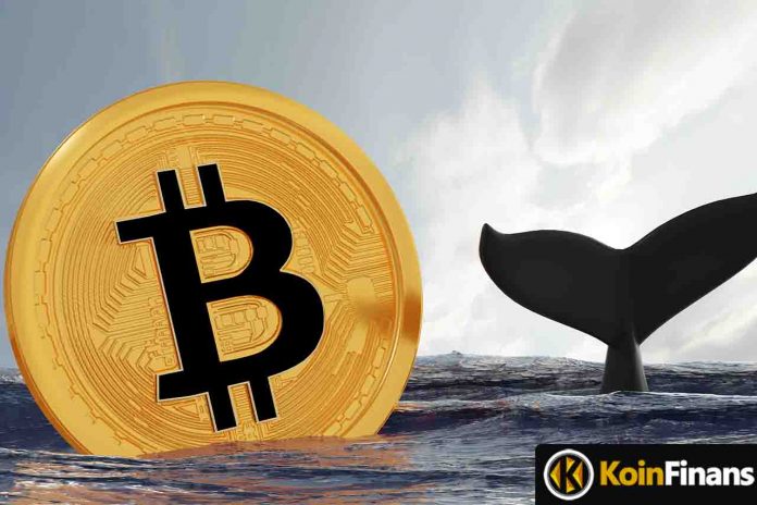 Notable Purchases From The Richest Bitcoin Whale!