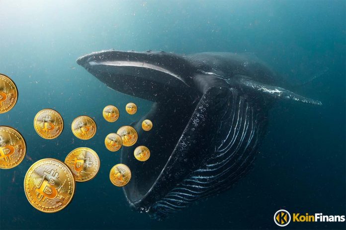 BTC's Mega Whale Accumulation Has Peaked, What Does It Mean for Price?