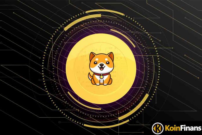 What is Baby Doge Coin?  Where to Buy BABYDOGE?