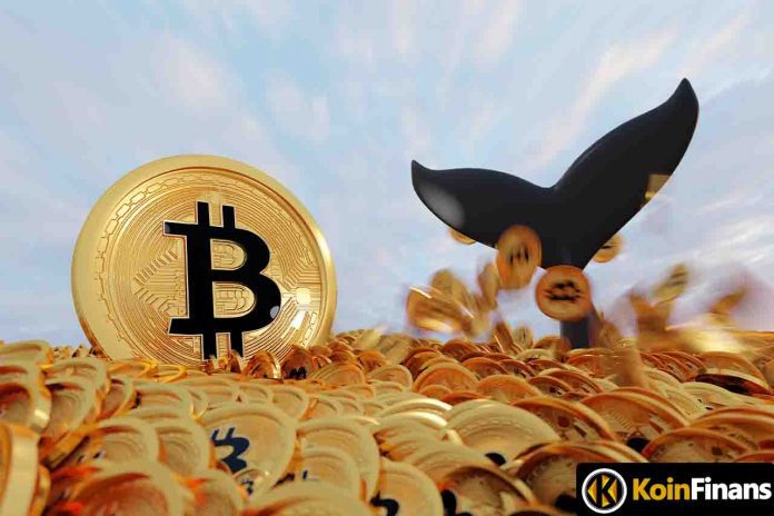 How Fed's Rate Decision Affected Bitcoin Whales