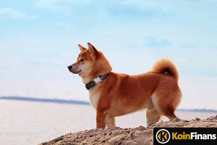 Not SHIB: Important Listing From This Meme Coin Will Reach 4 Million Users!