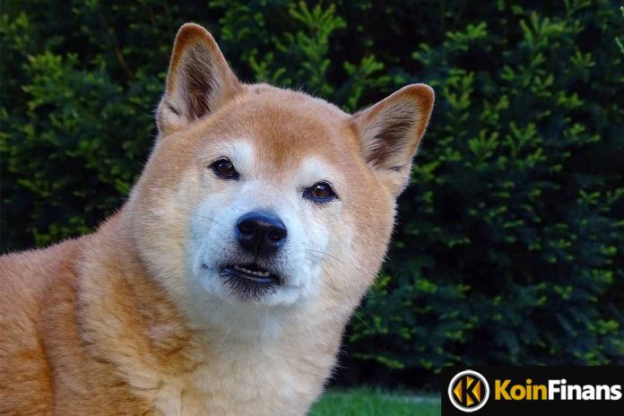 Shiba Inu Whales Go Crazy: Is Ascension Coming?