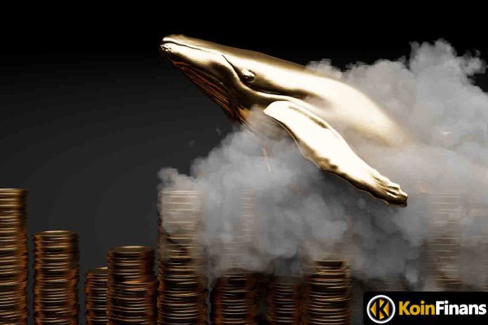 160-milyarlik-satis-devasa-balina-bu-meme-coini-elden-cikariyor 160 Milyarlık Satış: Devasa Balina Bu Meme Coin'i Elden Çıkarıyor!