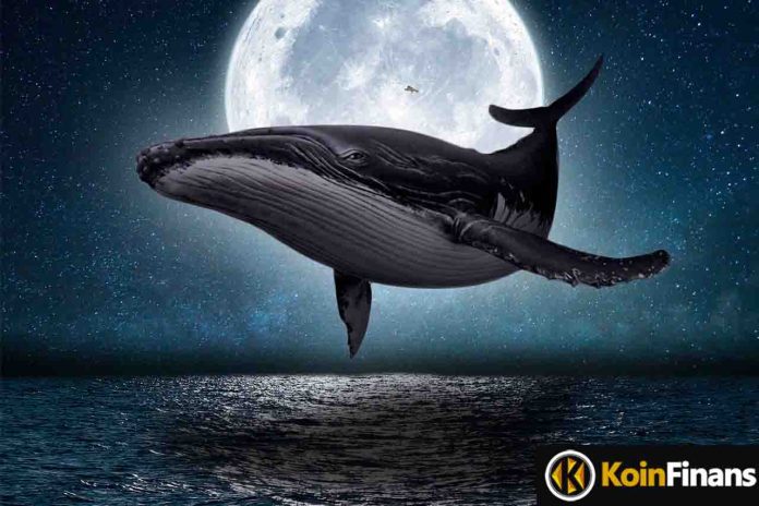 70 Billion Whale Purchased!  Burns Decreased in Meme Coin