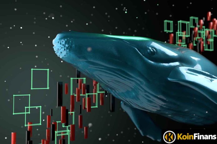 322 Billion Purchase: Mega Whale Keeps Filling Its Bag With This Meme Coin