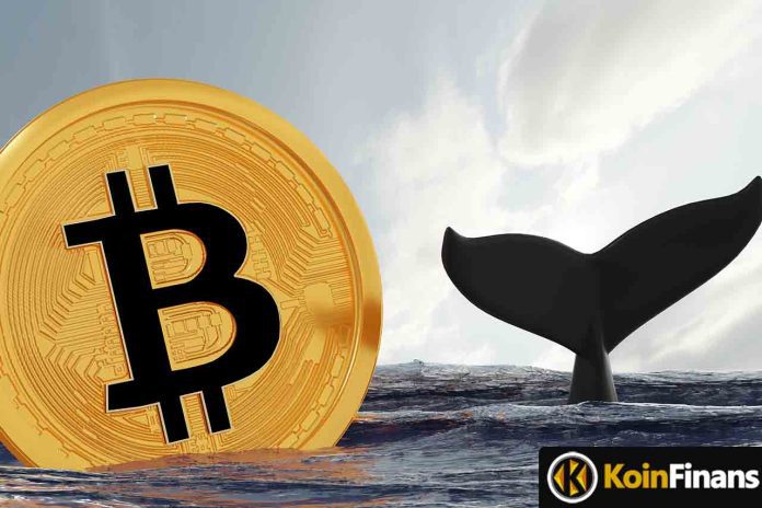 Bitcoin Balinaları Hareketlendi, Ralli Zamanı Geldi mi?