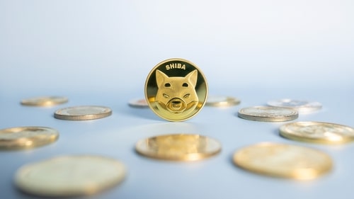 Shiba Inu meme coin