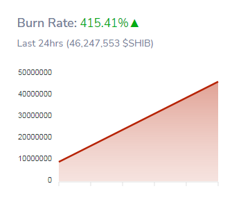 Burning Meme Coin Shiba Inu