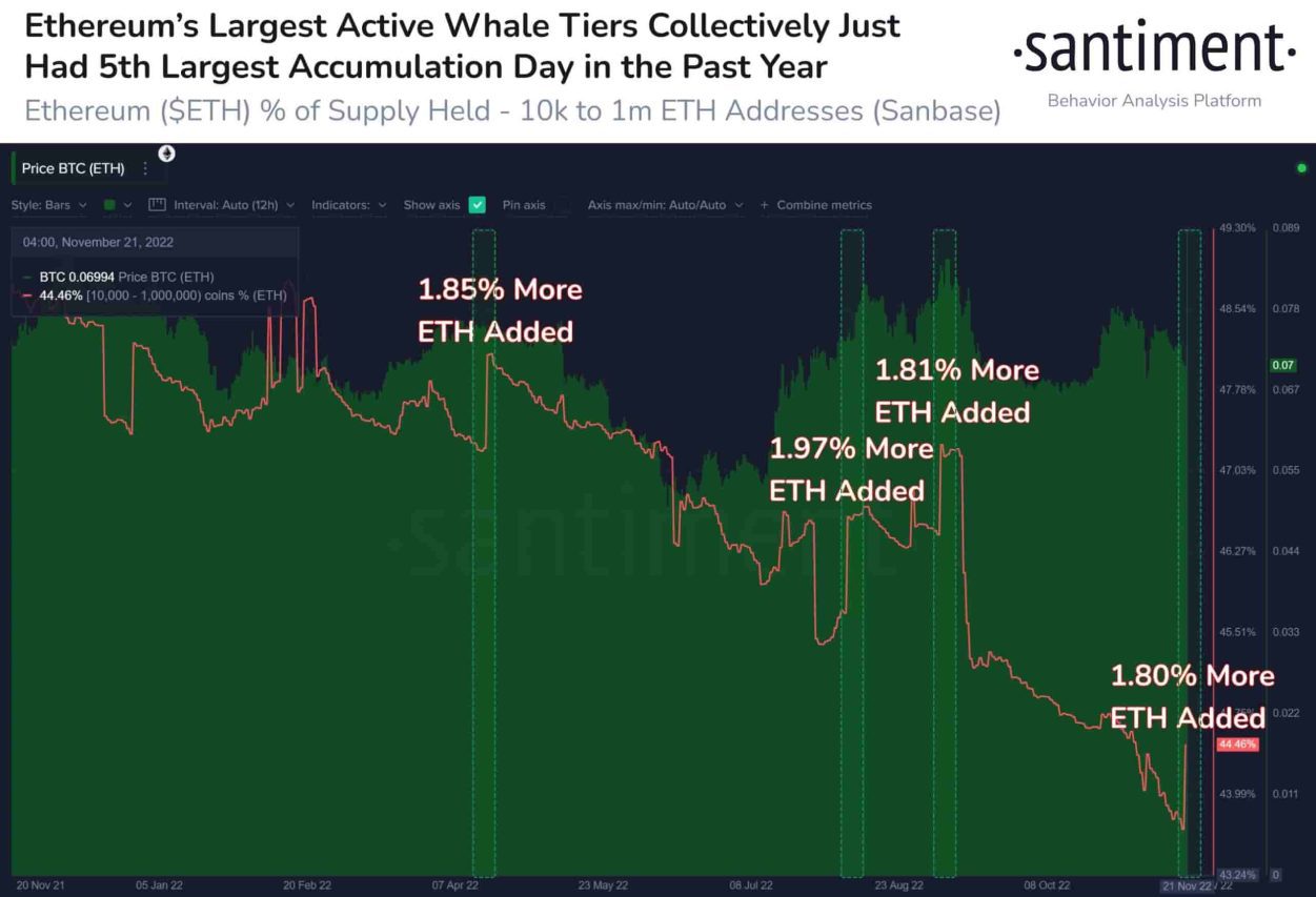 Ethereum whale address count