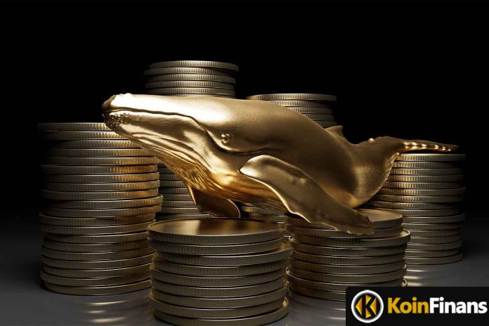 balinalardan-milyarlik-meme-coin-alimi Balinalardan 531 Milyarlık Meme Coin Alımı! Fiyata Etkisi Oldu Mu?