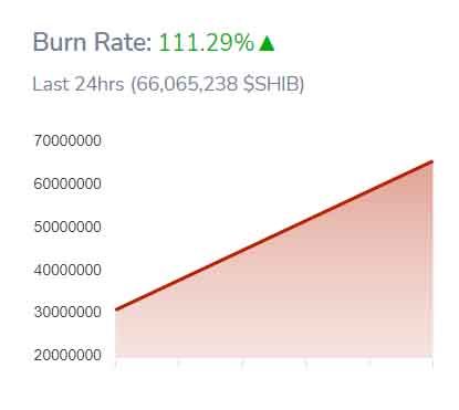 Increase in Shiba Inu meme coin burn rate