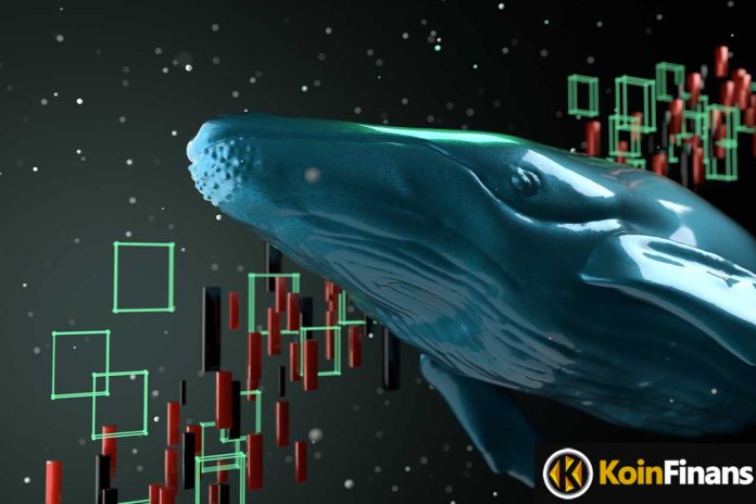 Whales Spent Hundreds of Millions on This Altcoin!