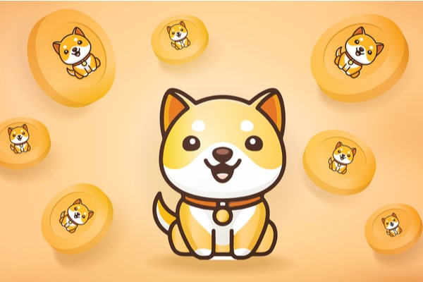 BabyDoge coin monthly burn rate