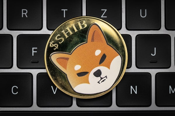 Whales invest in Shiba Inu.