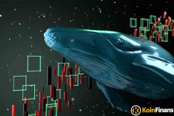 Whales Attack This Altcoin In Anticipation Of Rally!