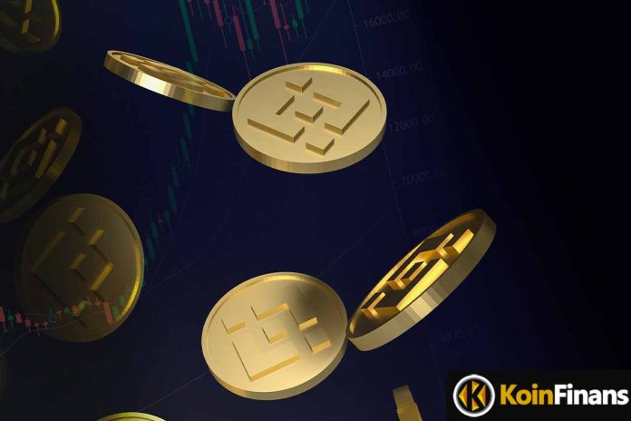 Binance Coin Struggles With Troubles: This Could Be The Next Level!