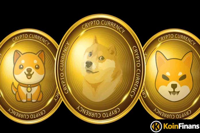 Shibarium Update: Big Meme Coin “Coming Soon”