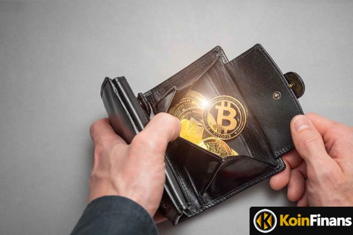 Analyst Returning to the Market, Accumulating These Cryptocurrencies!