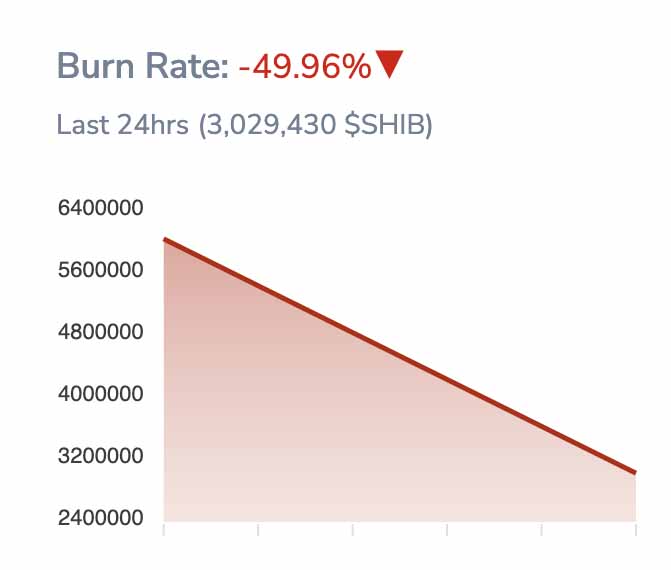 Burn rate drops in meme coin Shiba Inu