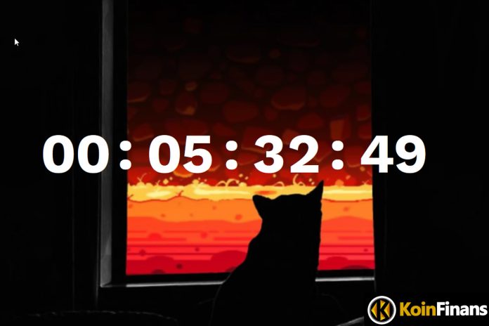 Shiba Inu Launches Mystery Counter: What's Going On?