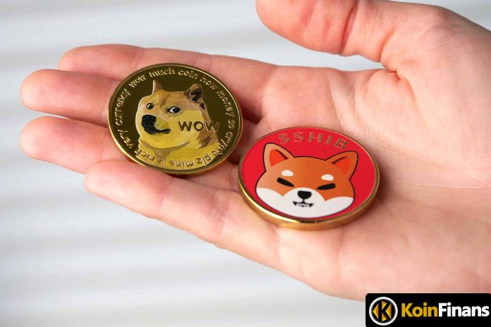 Move from Shiba Inu and Dogecoin: They Outgrew BTC!