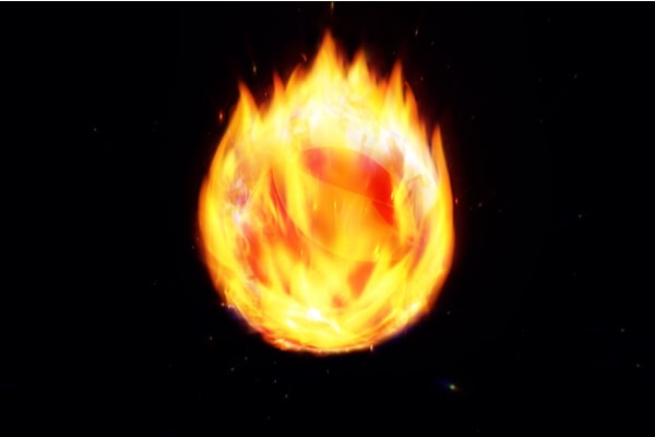 Terra Lunc altcoin burned.